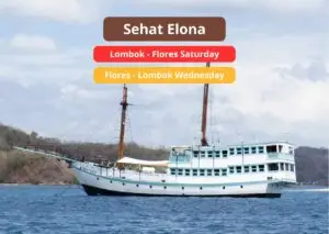 Sehat Elona Luxury Komodo Cruise – 4D3N Sailing Trip