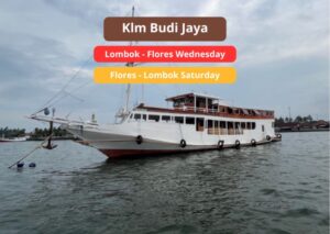 Backpacker’s Choice: Komodo 4 Days 3 Nights Budget Trip on Budi Jaya Boat