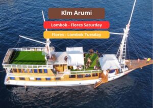 Arumi Luxury Liveaboard: 4-Day Lombok to Flores & Komodo Cruise